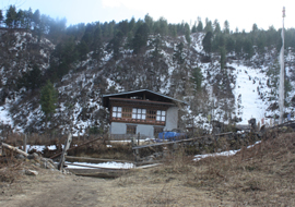 Blog